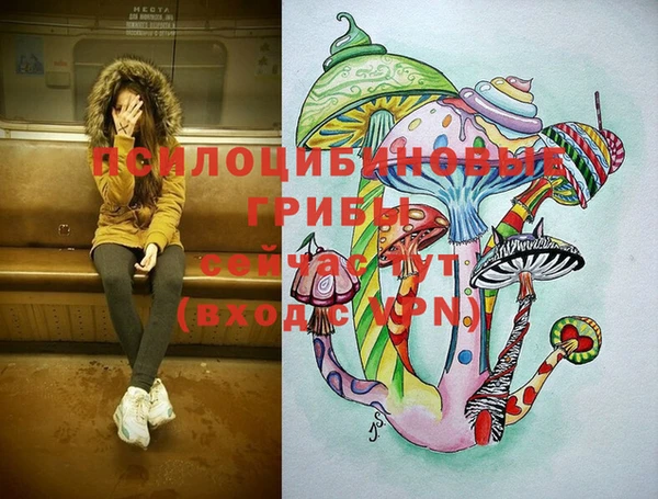 дживик Бородино