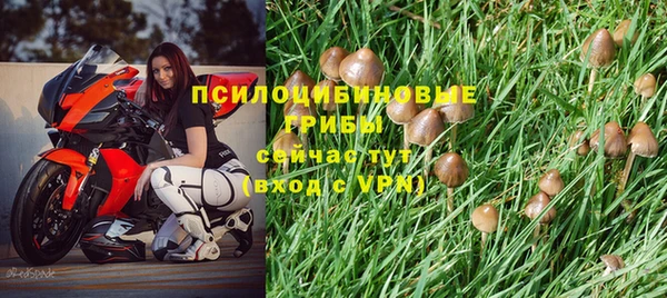 ECSTASY Володарск