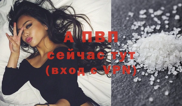 ECSTASY Володарск