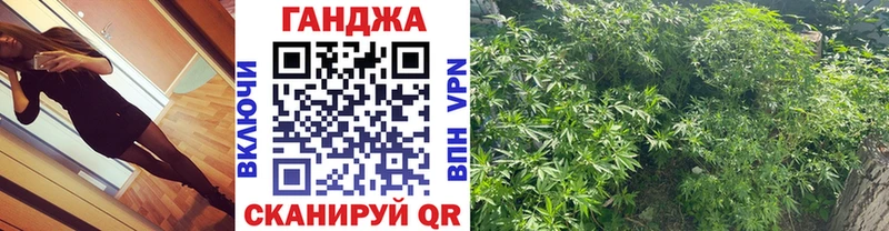 магазин  наркотиков  мега зеркало  Бошки марихуана SATIVA & INDICA  Новосокольники 